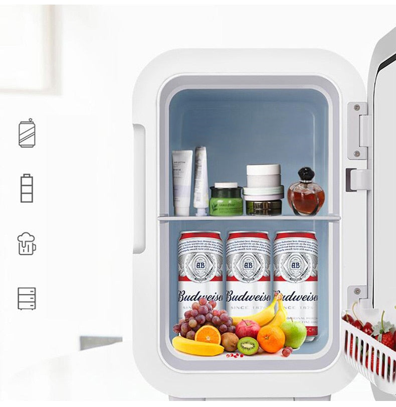 Mini Refrigerator Portable Cooler Compact Refrigerator 220V for Car/Truck/Picnic/Camping